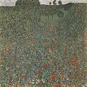 Gustav Klimt, Mohnfeld